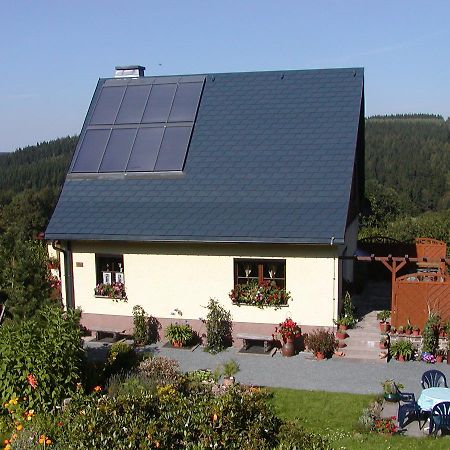 Ferienwohnung Petzold Алтенберг Източен Ерцгебирге Екстериор снимка